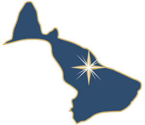 BiggerBearLogo_only_v2